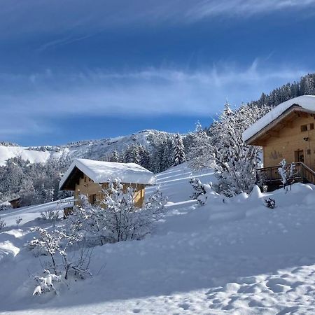 Chalets Savoie Les Chalets D'Heidi Notre-Dame-de-Bellecombe Zewnętrze zdjęcie