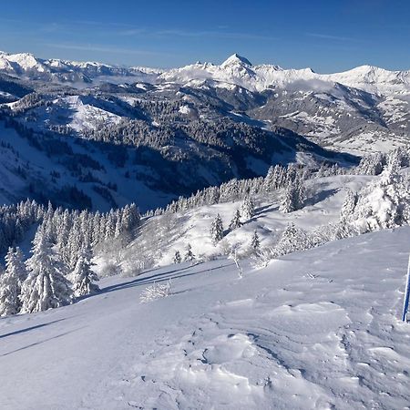 Chalets Savoie Les Chalets D'Heidi Notre-Dame-de-Bellecombe Zewnętrze zdjęcie