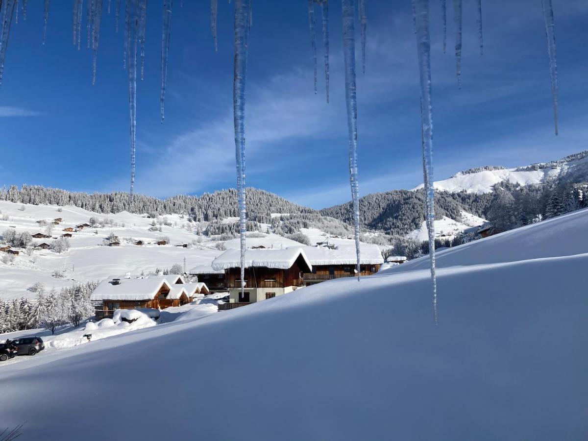 Chalets Savoie Les Chalets D'Heidi Notre-Dame-de-Bellecombe Zewnętrze zdjęcie