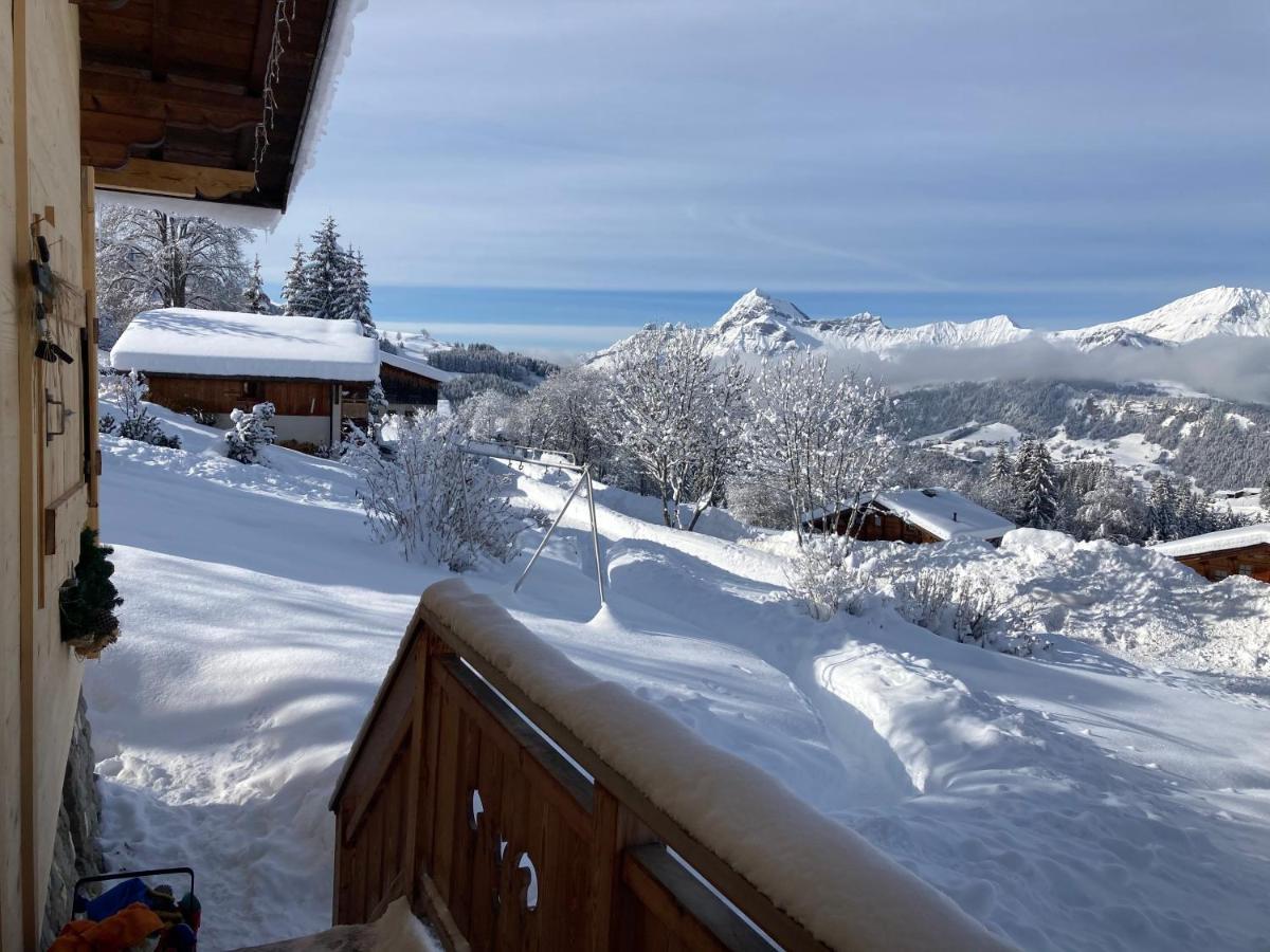 Chalets Savoie Les Chalets D'Heidi Notre-Dame-de-Bellecombe Zewnętrze zdjęcie