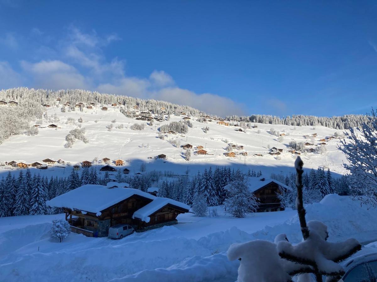 Chalets Savoie Les Chalets D'Heidi Notre-Dame-de-Bellecombe Zewnętrze zdjęcie