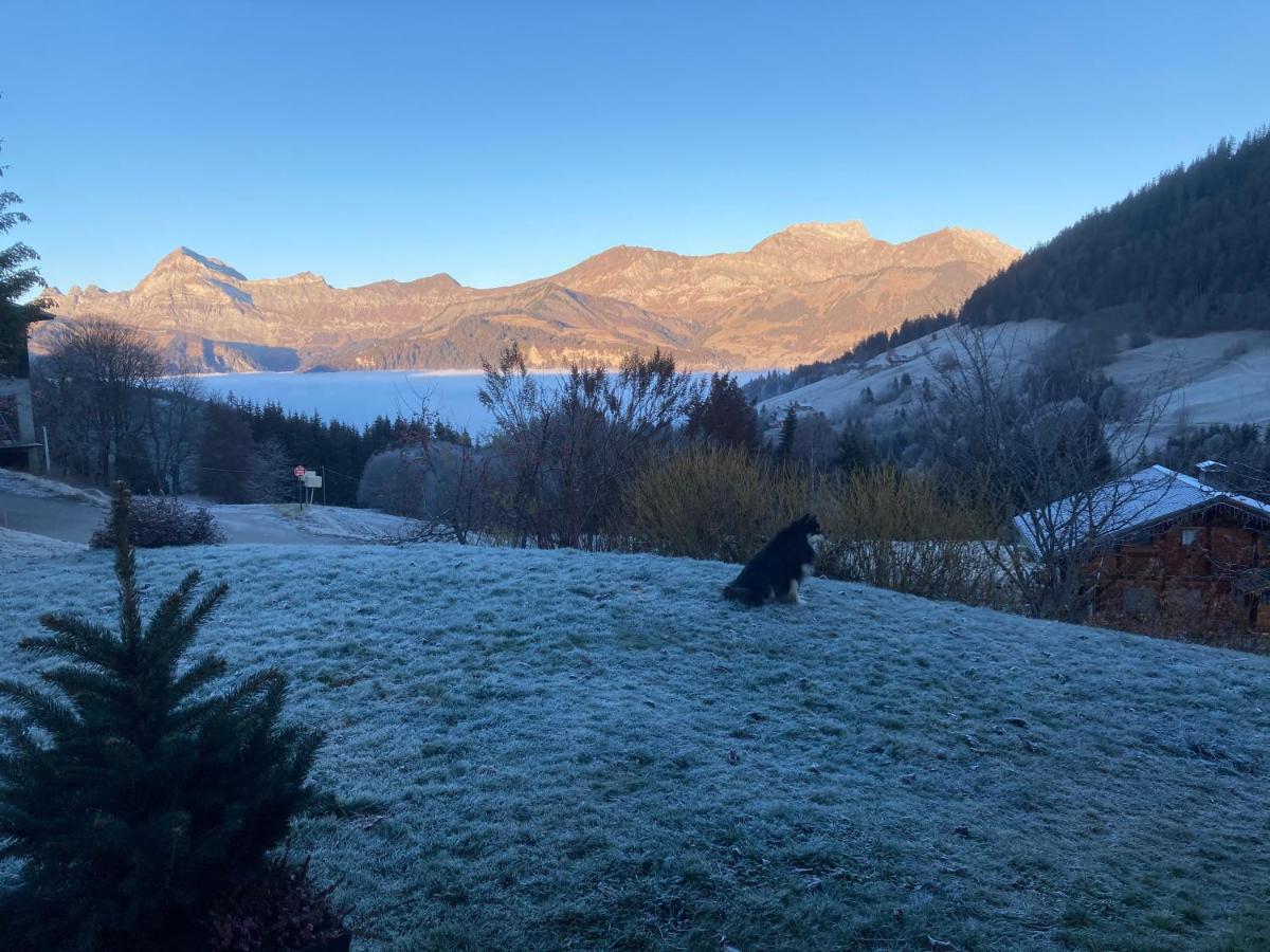 Chalets Savoie Les Chalets D'Heidi Notre-Dame-de-Bellecombe Zewnętrze zdjęcie