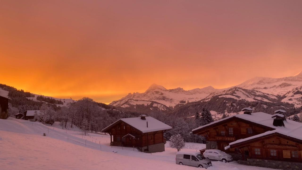 Chalets Savoie Les Chalets D'Heidi Notre-Dame-de-Bellecombe Zewnętrze zdjęcie