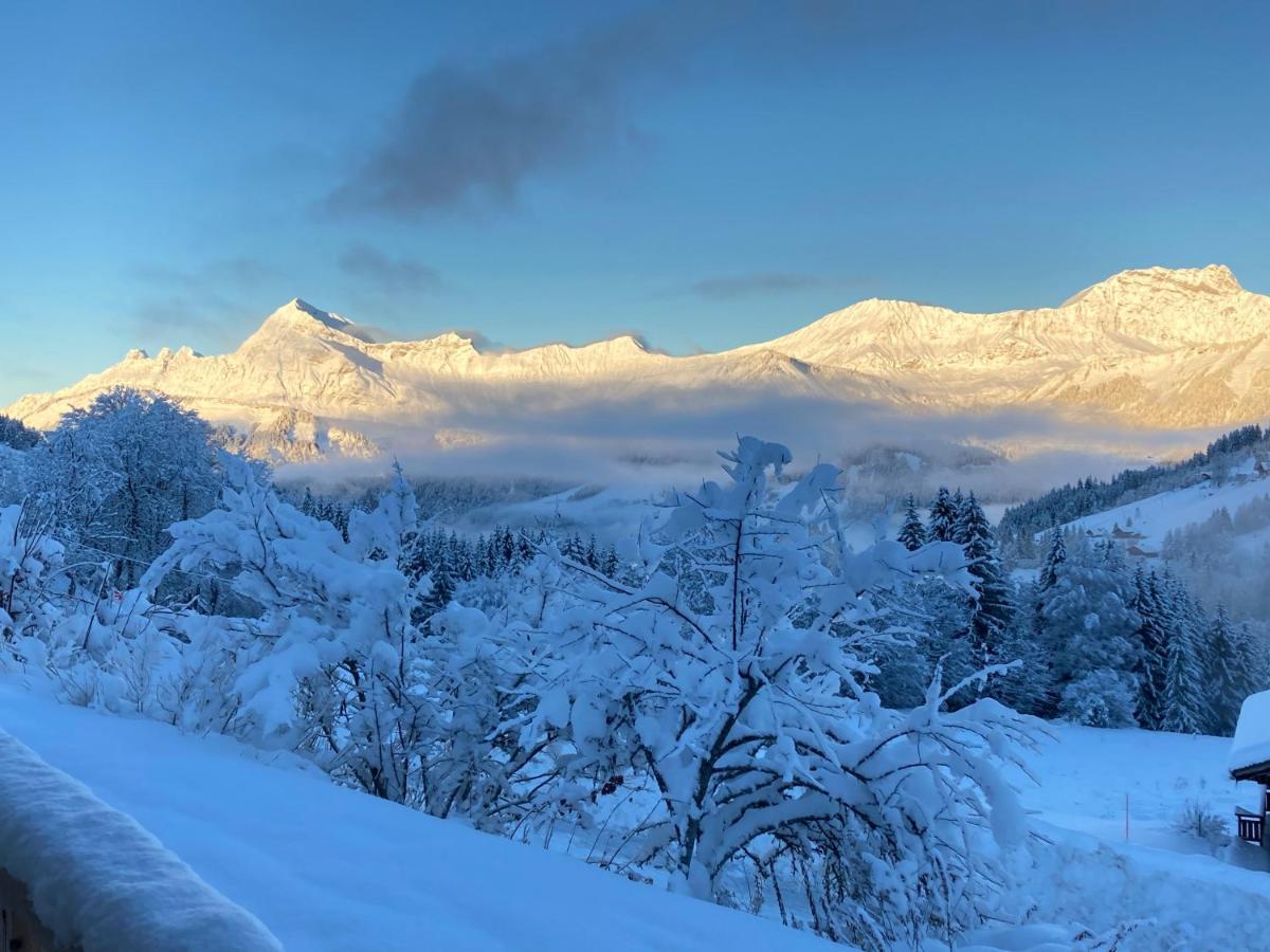 Chalets Savoie Les Chalets D'Heidi Notre-Dame-de-Bellecombe Zewnętrze zdjęcie