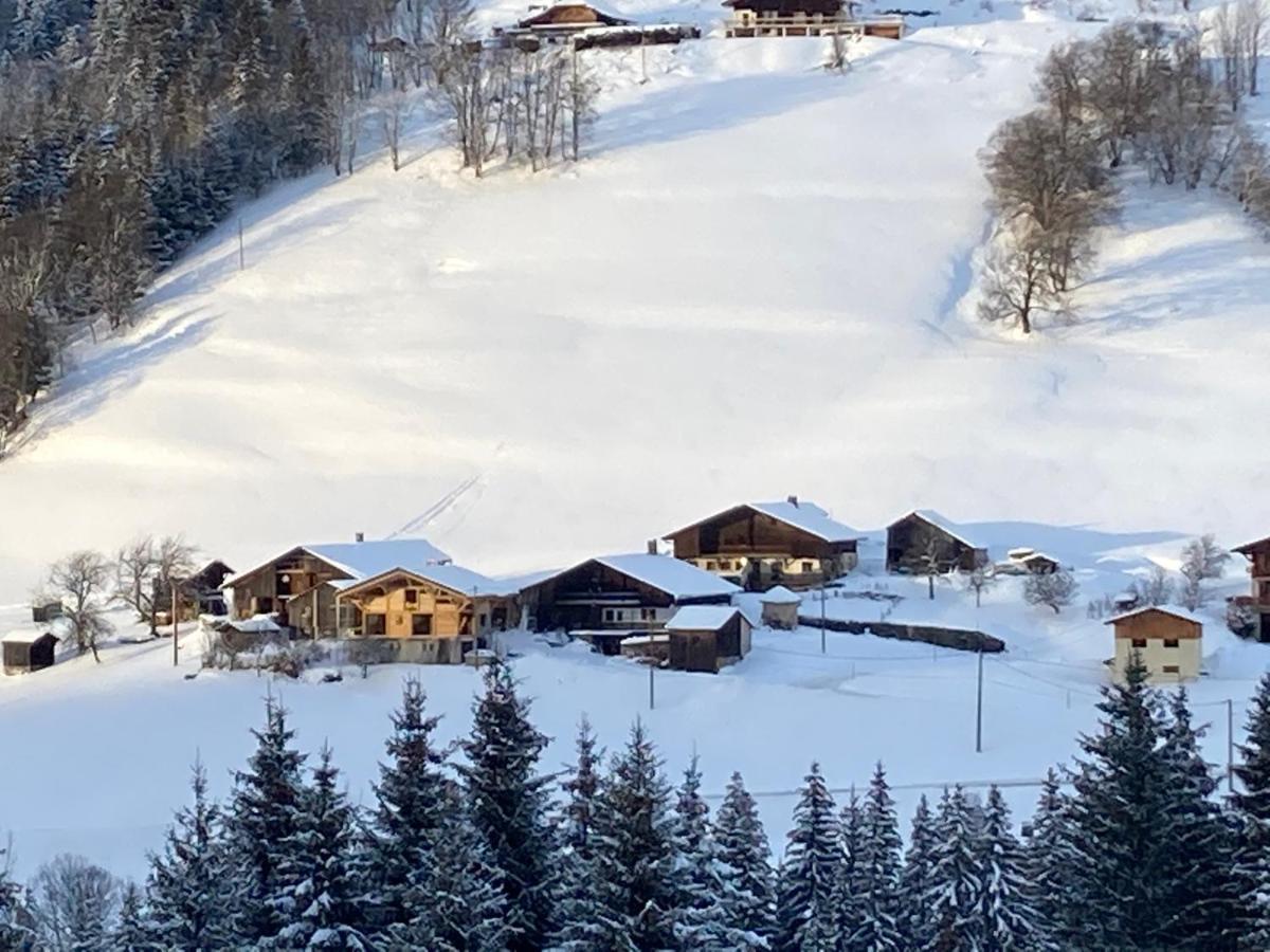 Chalets Savoie Les Chalets D'Heidi Notre-Dame-de-Bellecombe Zewnętrze zdjęcie