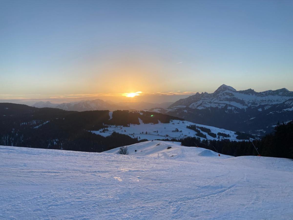 Chalets Savoie Les Chalets D'Heidi Notre-Dame-de-Bellecombe Zewnętrze zdjęcie