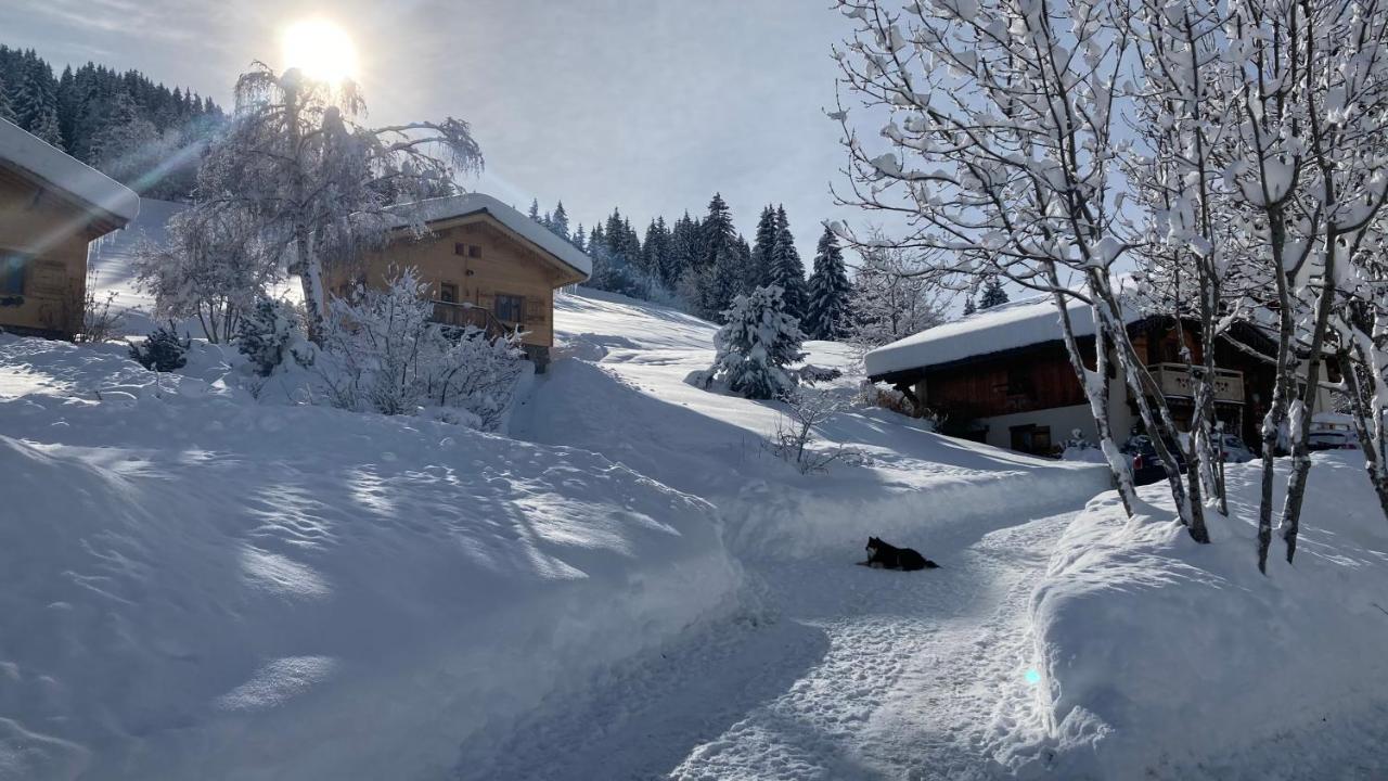 Chalets Savoie Les Chalets D'Heidi Notre-Dame-de-Bellecombe Zewnętrze zdjęcie