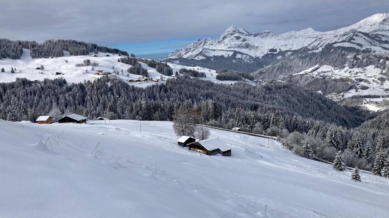 Chalets Savoie Les Chalets D'Heidi Notre-Dame-de-Bellecombe Zewnętrze zdjęcie