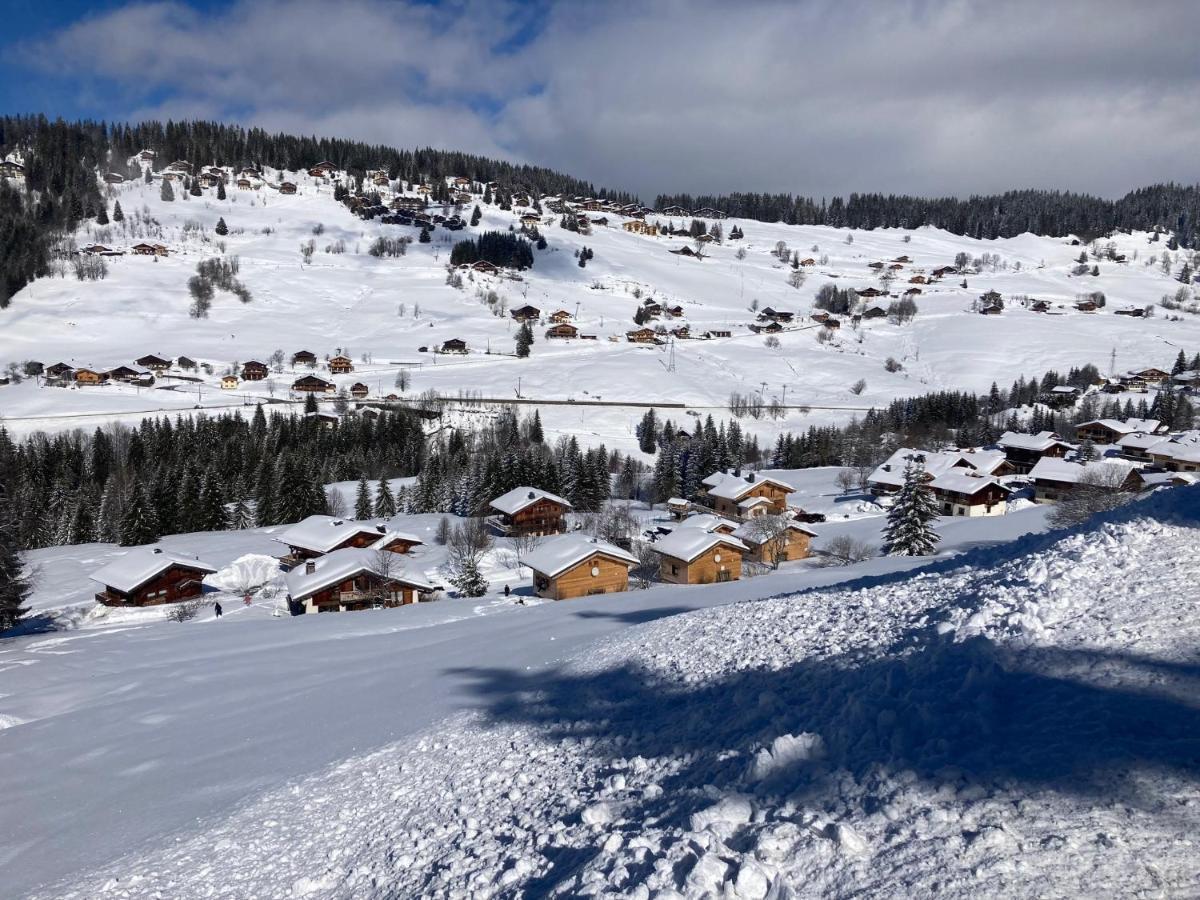 Chalets Savoie Les Chalets D'Heidi Notre-Dame-de-Bellecombe Zewnętrze zdjęcie