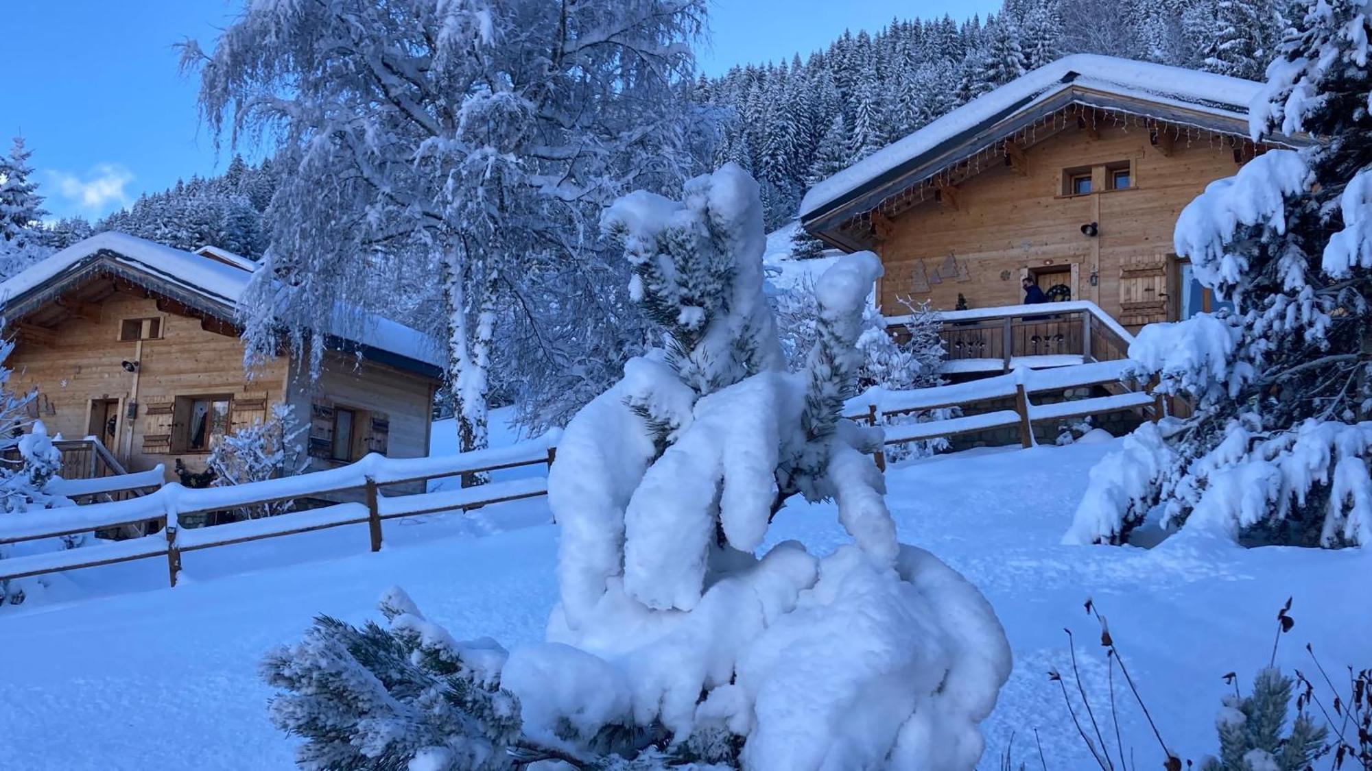 Chalets Savoie Les Chalets D'Heidi Notre-Dame-de-Bellecombe Zewnętrze zdjęcie