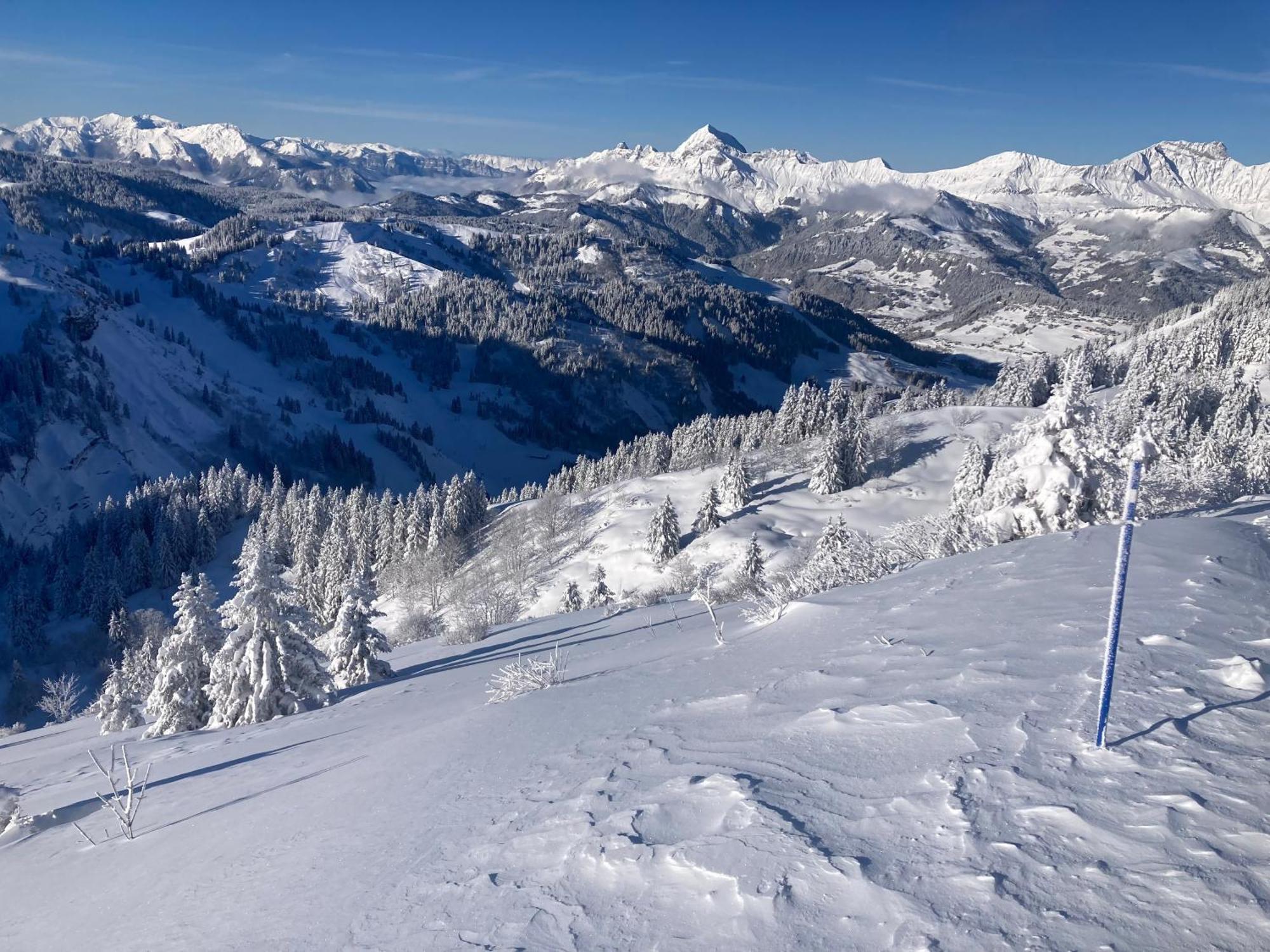 Chalets Savoie Les Chalets D'Heidi Notre-Dame-de-Bellecombe Zewnętrze zdjęcie