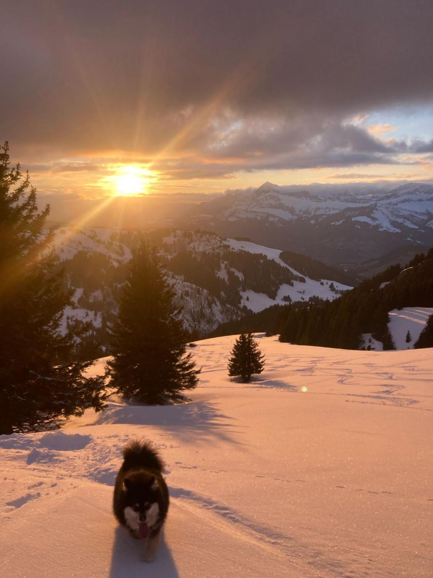 Chalets Savoie Les Chalets D'Heidi Notre-Dame-de-Bellecombe Zewnętrze zdjęcie