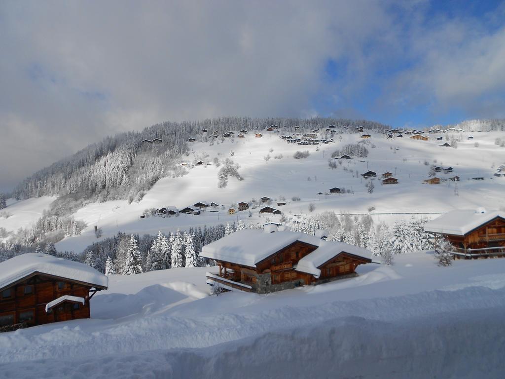 Chalets Savoie Les Chalets D'Heidi Notre-Dame-de-Bellecombe Zewnętrze zdjęcie