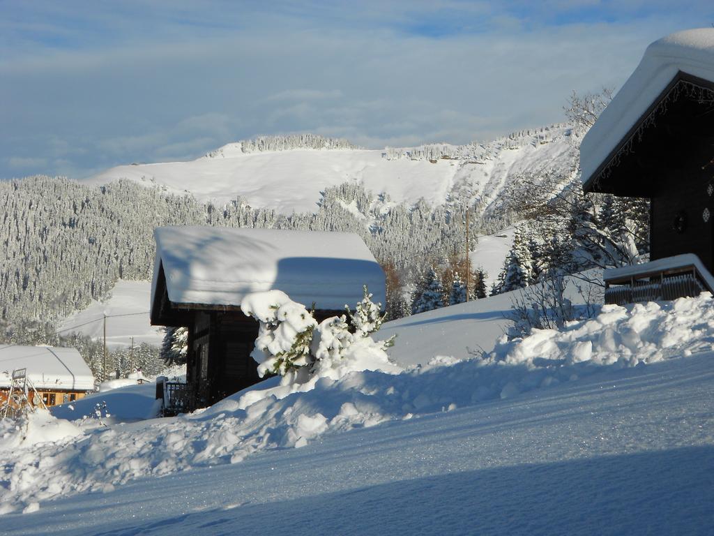 Chalets Savoie Les Chalets D'Heidi Notre-Dame-de-Bellecombe Zewnętrze zdjęcie