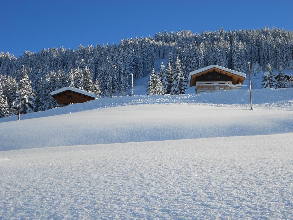 Chalets Savoie Les Chalets D'Heidi Notre-Dame-de-Bellecombe Zewnętrze zdjęcie