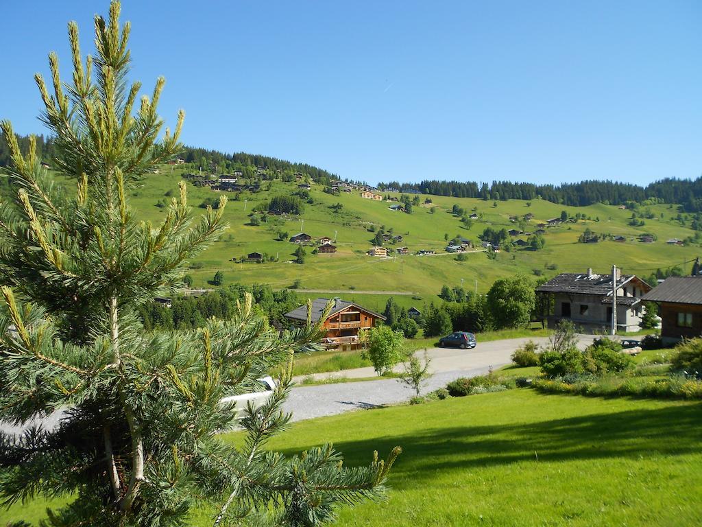 Chalets Savoie Les Chalets D'Heidi Notre-Dame-de-Bellecombe Zewnętrze zdjęcie
