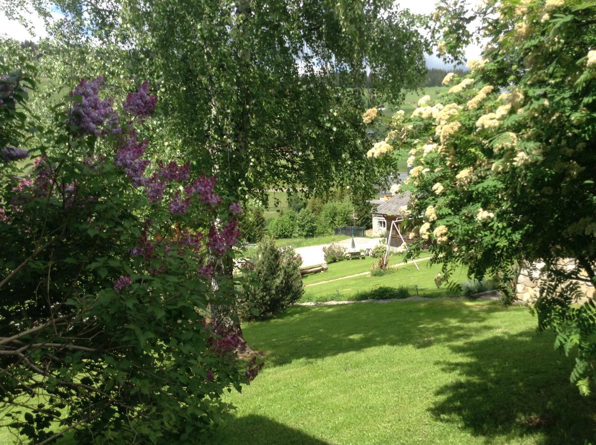 Chalets Savoie Les Chalets D'Heidi Notre-Dame-de-Bellecombe Zewnętrze zdjęcie
