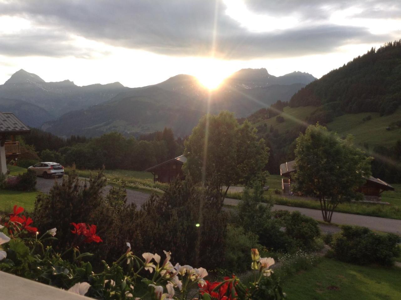 Chalets Savoie Les Chalets D'Heidi Notre-Dame-de-Bellecombe Zewnętrze zdjęcie