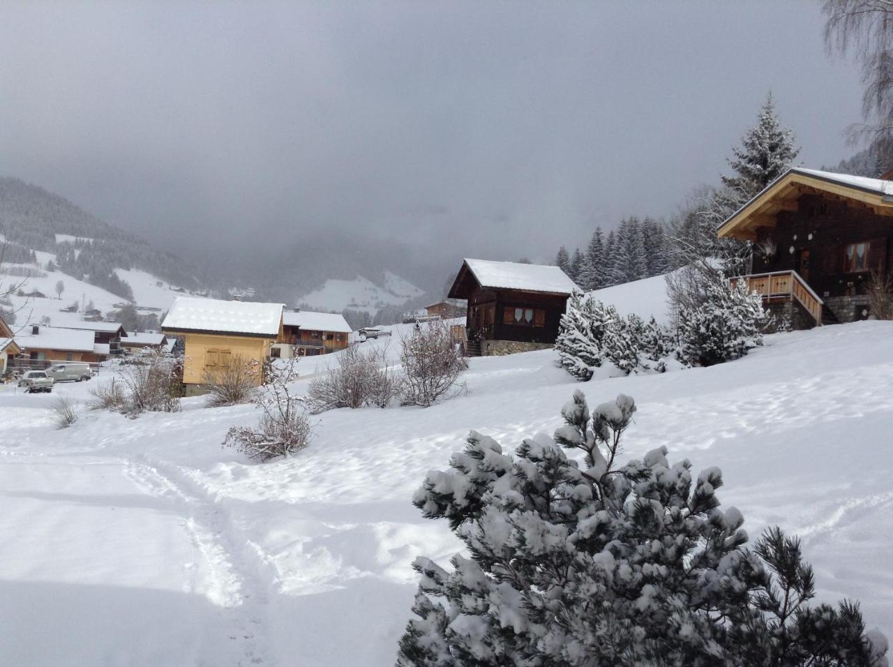 Chalets Savoie Les Chalets D'Heidi Notre-Dame-de-Bellecombe Zewnętrze zdjęcie