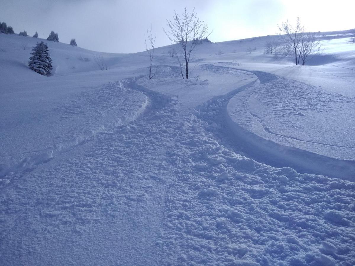 Chalets Savoie Les Chalets D'Heidi Notre-Dame-de-Bellecombe Zewnętrze zdjęcie