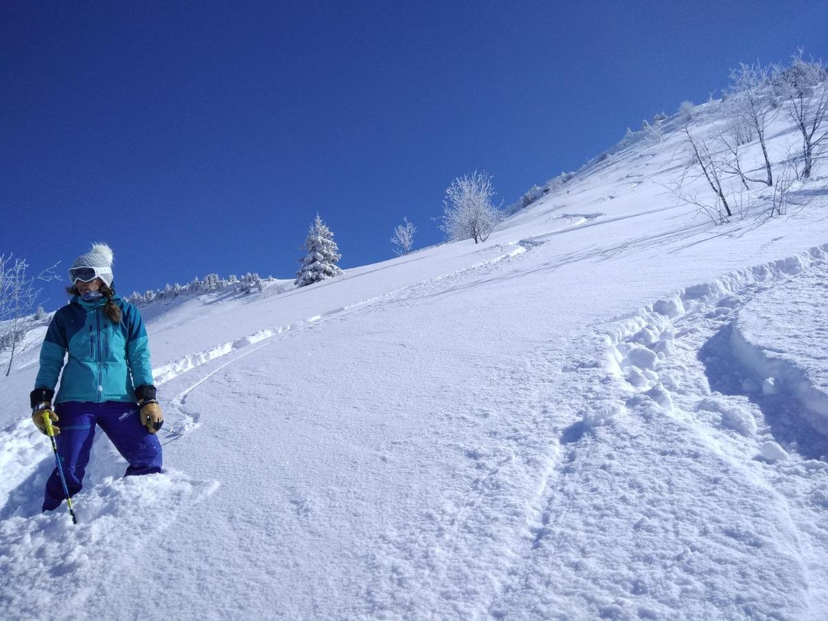 Chalets Savoie Les Chalets D'Heidi Notre-Dame-de-Bellecombe Zewnętrze zdjęcie